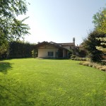 Aldena A_DSC2924