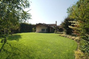 Aldena A_DSC2924