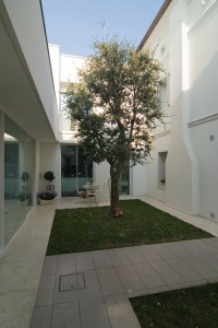 Aldena D_DSC_4523