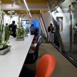 Aldena_DSC3818