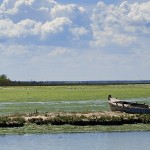 Comacchio_DSC3617