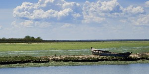 Comacchio_DSC3617