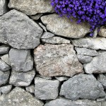 Fiori_101-0151_IMG_Tris
