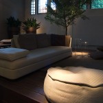 Frassinago_0_DSC9665