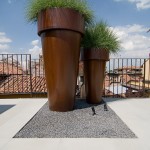 Frassinago_2_DSC9330