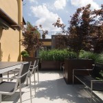 Frassinago_2_DSC9351