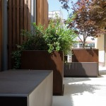 Frassinago_2_DSC9360