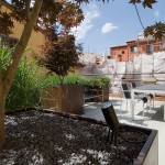 Frassinago_2_DSC9362