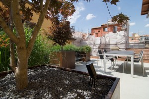 Frassinago_2_DSC9362