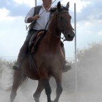 Maremma_DSC4712