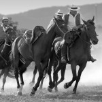 Maremma_DSC4741