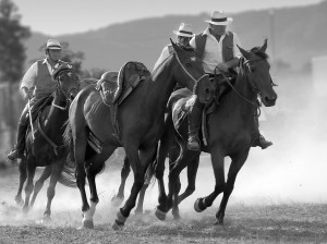Maremma_DSC4741