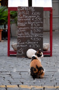 Maremma_DSC4812