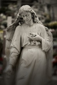 Rapimenti_DSC5182_Bis