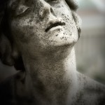 Rapimenti_DSC5185_Bis