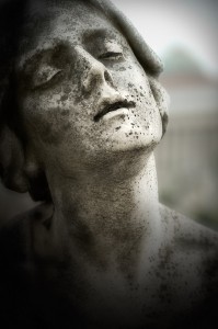 Rapimenti_DSC5185_Bis