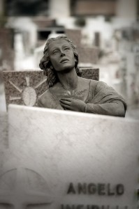 Rapimenti_DSC5196_Bis