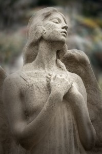 Rapimenti_DSC5202