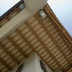 Rebracha_DSC1320