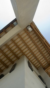 Rebracha_DSC1320