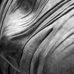 Venezia_DSC2435