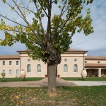 Villa_OF_DSC5062