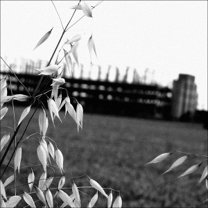 Villorba_DSCN1746