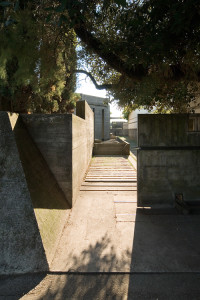 Brion_DSC_8116