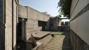 Brion_DSC_8124
