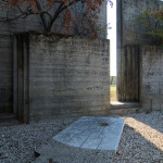Brion_DSC_8136