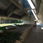 Brion_DSC_8181