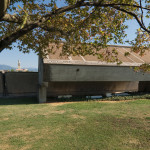 Brion_DSC_8241