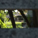 Brion_DSC_8327