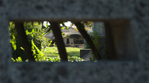 Brion_DSC_8327