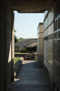 Brion_DSC_8360