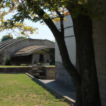 Brion_DSC_8381