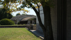 Brion_DSC_8381