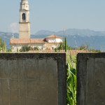 Brion_DSC_8384