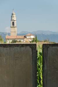 Brion_DSC_8384
