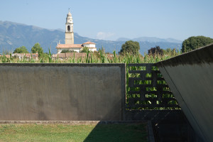 Brion_DSC_8399