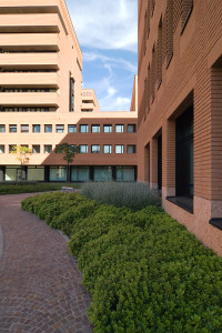 Appiani_DSC_8808